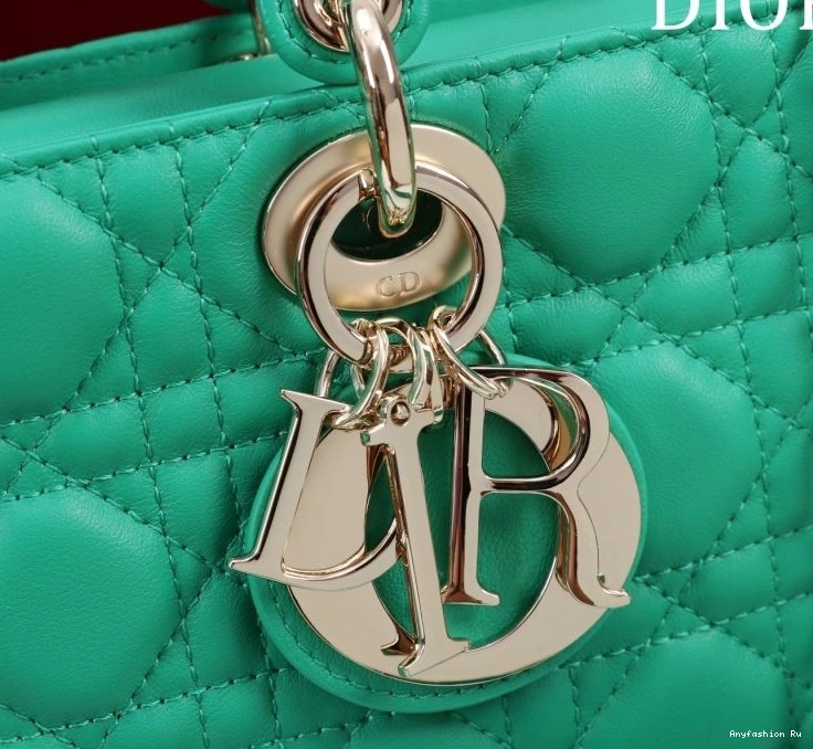 71064 Christian Dior Original My Lady Bags 0813